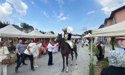 OT FESTİVALİNDE ATLARA YOĞUN İLGİ