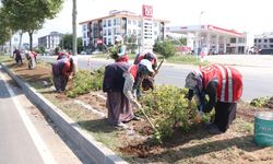 Düzce yollarında rengarenk manzara