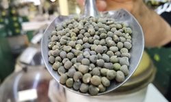 Sıvı kaybı yaşayan kadınların tercihi: Bamya tohumu!