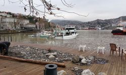 Zonguldak'ta fırtına sonrası hayat normale dönüyor