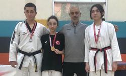 Zonguldak'ta Gençler Taekwondo İl Birinciliği müsabakaları yapıldı