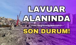 AK Parti İl başkanı lavuar alanı hakkında son gelişmeleri açıkladı