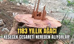 Başkan Dural Porsuk Ağacı hakkında yetkililere seslendi