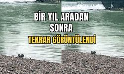 Bir yıl aradan sonra görüntülendi