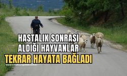 Hastalık sonrası aldığı küçükbaş hayvanlarla yeniden hayata bağlandı