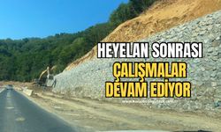 Zonguldak-Ereğli yolundaki heyelan sonrası çalışmalar devam ediyor