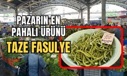 Halk pazarı vatandaşın yüzünü güldürdü: Taze fasülye rekor kırdı!