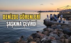 Denizde su samurunu görenler şaşkınlığını gizleyemedi