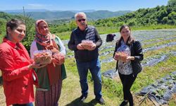 Zonguldak, Karabük ve Bartın'dan 7 ürün Slow Food'un Ark of Taste Ağı'na girdi