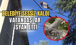 Vatandaşlar isyan etti: Belediye 6 aydır umursamıyor!