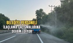 Belediye personeli haşerelere karşı ilaçlama çalışmasına devam ediyor