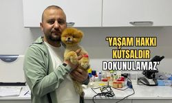 Veteriner hekim Koç:”Katil yasaya hayır!”