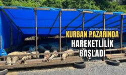 Zonguldak'ta kurban bayramına sayılı günler kala kurbanlık pazarında hareketlilik başladı