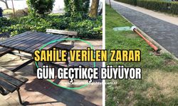 Sahile insan eli ile verilen zararlar üzüyor