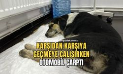 Otomobil çarpmıştı kalçası kırıldı!