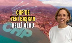 CHP'de seçim sona erdi! Nazan Pulat kazandı