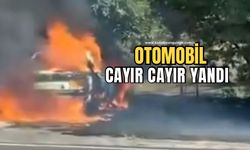 Otomobil alevlere teslim oldu!