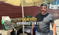 Balık tezgahta yerini aldı