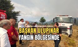 Belediye Başkanı Ulupınar yangın çalışmasını takip ediyor