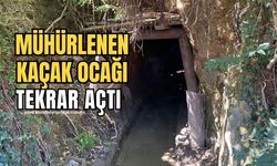 Ekipler Kaçak Ocaklara göz açtırmıyor:12 Kaçak ocak kapatıldı!