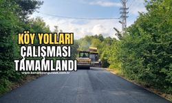 Zonguldak'ta köy yolu çalışmaları tamamlandı