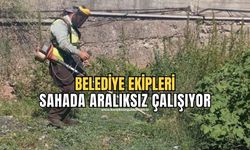 Belediye ekipleri yabani otları temizliyor