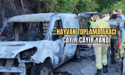 Belediyenin hayvan toplama aracında çıkan yangın ormanlık alana sıçradı