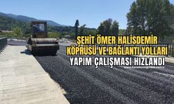 Şehit Ömer Halisdemir Köprüsü'nde ve köprüye bağlanan yollarda asfaltlama çalışmaları başladı