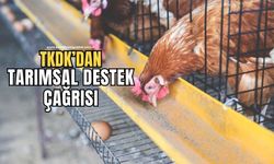 TKDK'dan tarımsal destek çağrısı