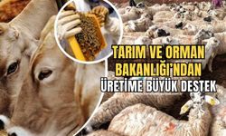 Tarımsal üretim planlaması hazırlanıyor! Üretime destek verilecek