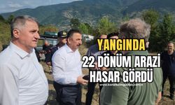 Zonguldak'taki orman yangınında 22 dönüm arazi zarar gördü