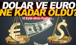 12 EYLÜL 2024 ÇARŞAMBA | Dolar ve Euro kuru ne kadar oldu?