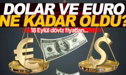 18 EYLÜL 2024 SALI | Dolar ve Euro kuru ne kadar oldu?