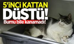 5'inci kattan düştü: Burnu bile kanamadı!