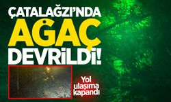 Çatalağzı'nda yola devrilen ağaç trafiği kilitledi!