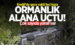 Ereğli'de gece vakti feci kaza: Ormanlık alana uçtu! Çok sayıda yaralı var