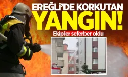 Ereğli'de korkutan yangın: Ekipler seferber oldu