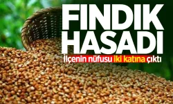 Fındık hasadı işçileri ilçenin nüfusunu arttırdı