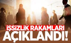 İşsizlik rakamları açıklandı