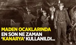 Yeraltı Kömür Madenlerinde Zararlı Gazları Tespiti İçin Kullanılan İlk Yöntemler