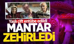 Kastamonu’da mantar yiyen yaşlı çift entübe edildi!