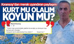 Kıransoy'dan merak uyandıran paylaşım: "Kurt mu olalım koyun mu?"