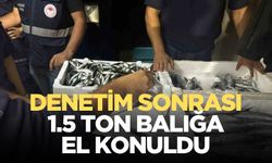 Denetimlerde yasal boyutta olmayan balıklara el koyuldu