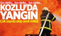 Kozlu'da yangın: Ekipler seferber oldu!