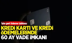 Kredi kartı ve kredi borcu nasıl yapılandırılacak? İşte örnek tablo...