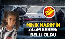 Narin hakkında merak edilen soru yanıt buldu: Nasıl öldürüldüğü ortaya çıktı!