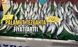 Palamut tezgahta! Fiyatı arttı