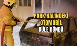 Alevler içinde kalan otomobil kullanılmaz hale geldi