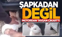 Şapkadan değil, motordan tavşan çıkarttı