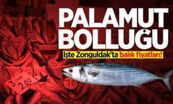 Tezgahlarda palamut bolluğu: İşte Zonguldak'ta balık fiyatları!